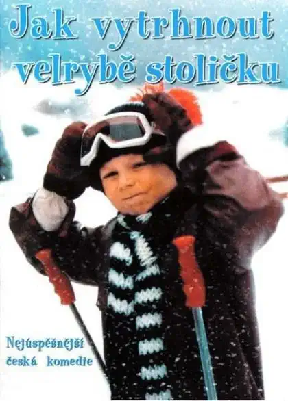 Jak vytrhnout velrybě stoličku - DVD pošetka