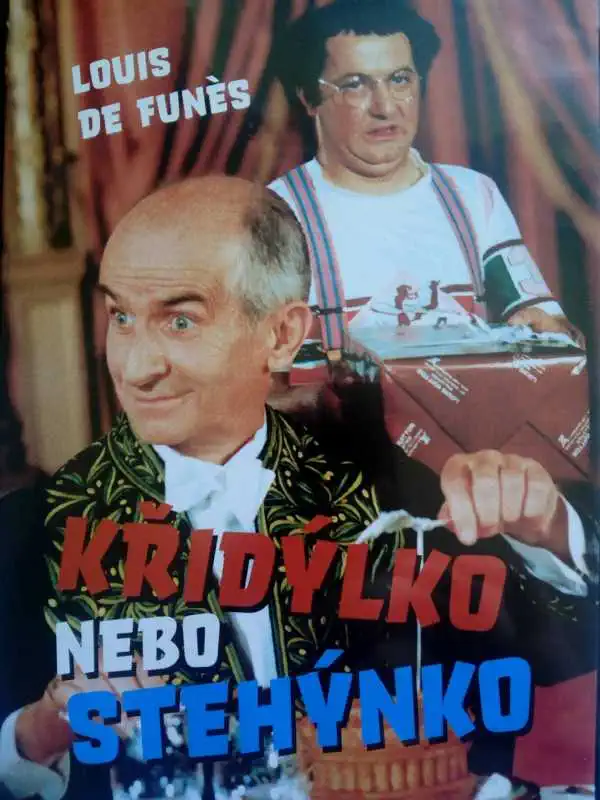 Křidýlko nebo stehýnko - plast, slim DVD