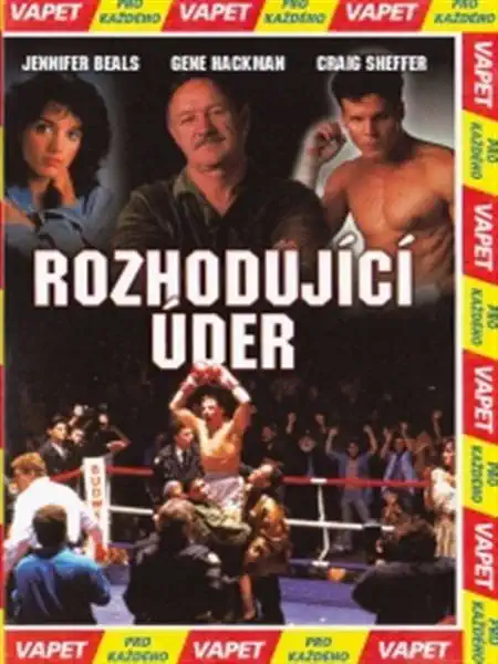 Rozhodující úder DVD