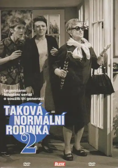 Taková normální rodinka 2 - DVD