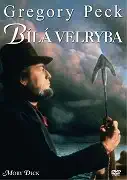 Bílá velryba DVD-plast