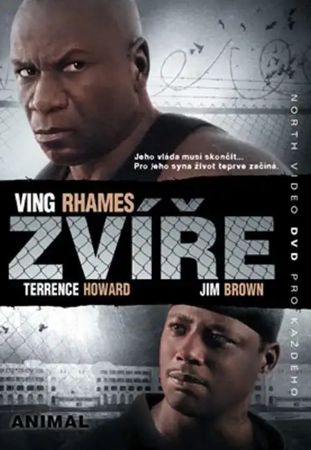 Zvíře - DVD - bazarové zboží