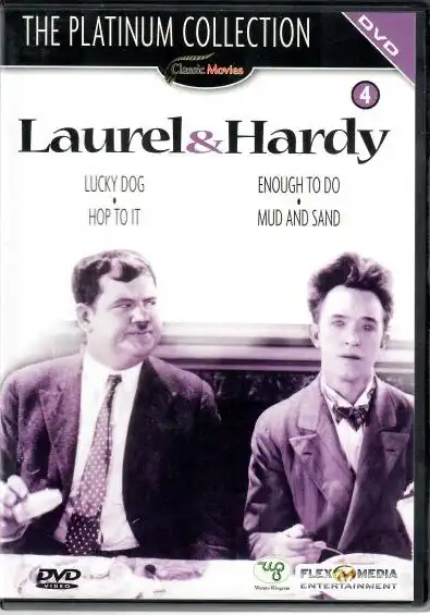 Laurel a Hardy - The Platinum Collection 4 - DVD