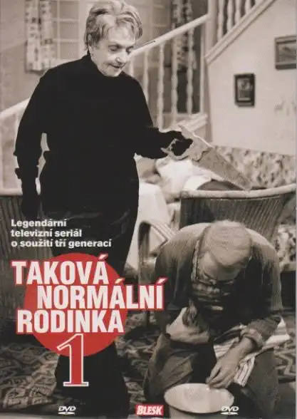 Taková normální rodinka 1 - DVD