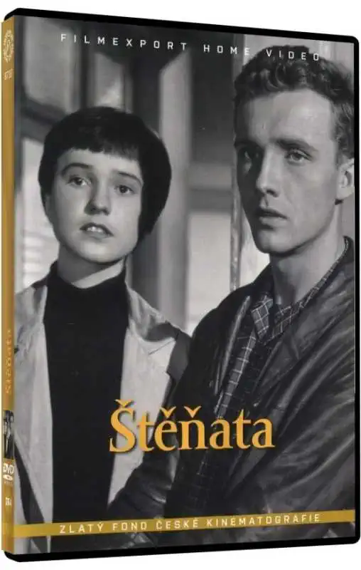 Štěňata DVD Box