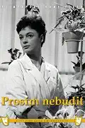 Prosím nebudit - DVD box