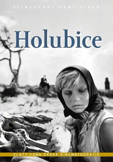 Holubice - DVD Box