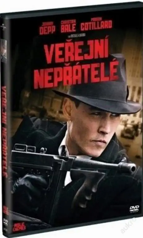 Veřejní nepřátelé (bazarové zboží) DVD plast