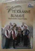 V té krásné Šumavě DVD plast