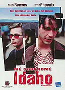 Mé soukromé Idaho - DVD bazarové zboží