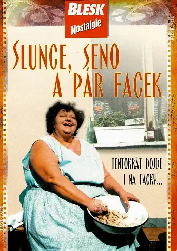 Slunce, seno a pár facek - DVD pošetka