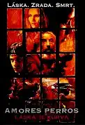 Amores perros -Láska je kurva - DVD digipack/plast