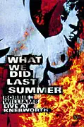 What we did last summer - Robbie Williams - DVD digipack /bazarové zboží/