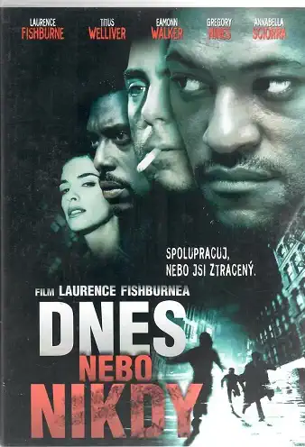Dnes nebo nikdy ( plast ) - DVD /bazarové zboží/
