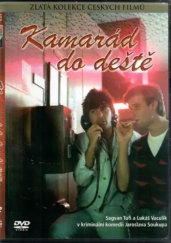 Kamarád do deště - plast DVD