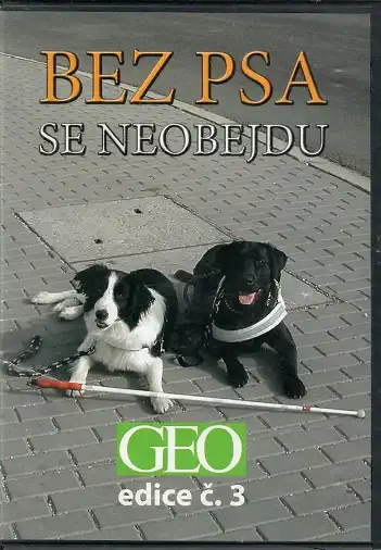 Bez psa se neobejdu ( bazarové zboží ) slim DVD