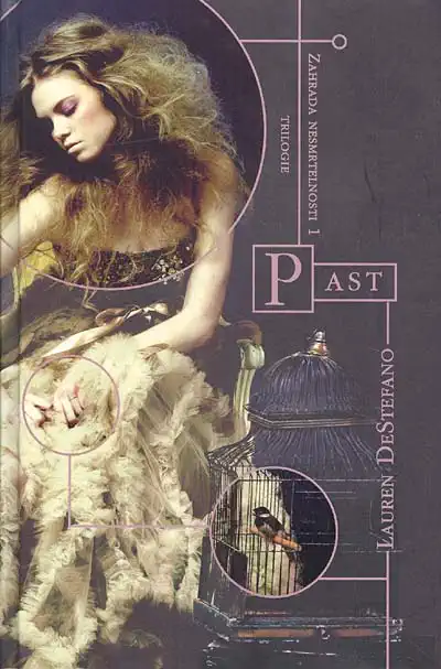 Past - Lauren DeSteffano
