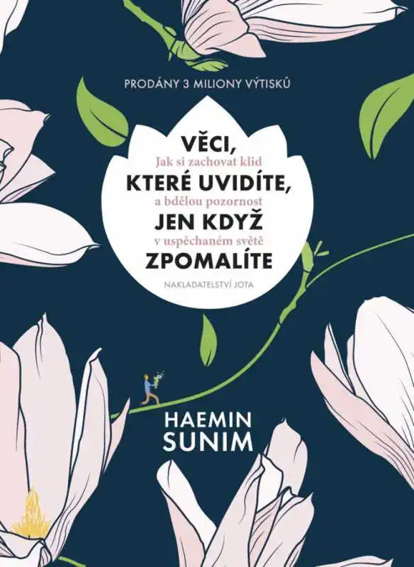 Věci, které uvidíte, jen když zpomalíte - Haemin Sunim /bazarové zboží/