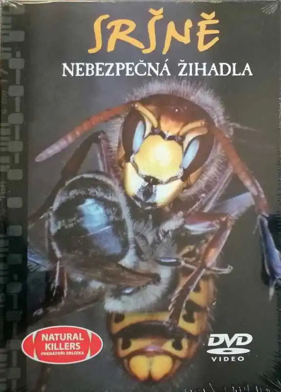 Sršně - Nebezpečná žihadla - DVD + brožura /bazarové zboží/