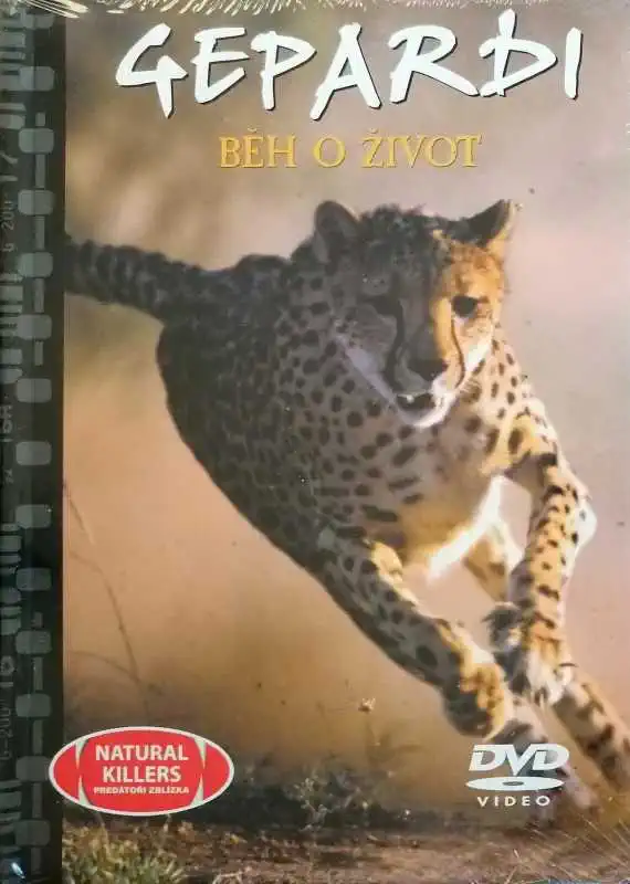 Gepardi - Běh o život - DVD + brožura /bazarové zboží/