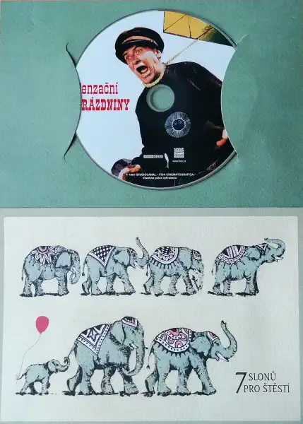 Senzační prázdniny - DVD - dárková obálka