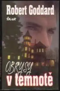 Obrysy v temnotě - Robert Goddard /bazarové zboží/