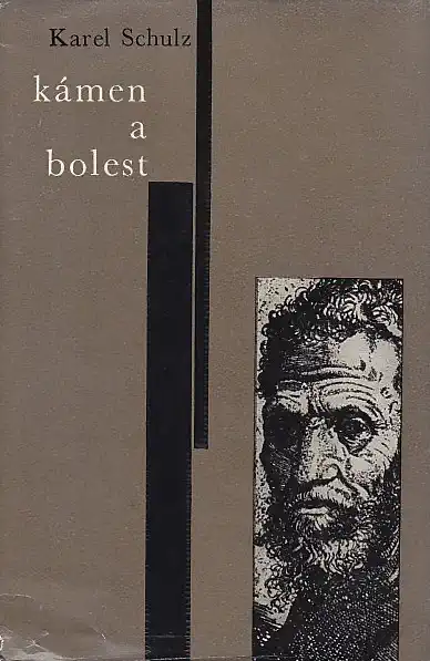 Kámen a bolest - Karel Schulz /bazarové zboží/