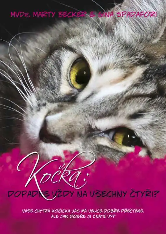 Kočka: dopadne vždy na všechny čtyři? - MVDr. Marty Becker & Gina Spadaforiová /bazarové zboží/