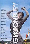 Glastonbury - DVD plast 