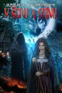 V šeru a stínu - Barb & J.C. Hendee