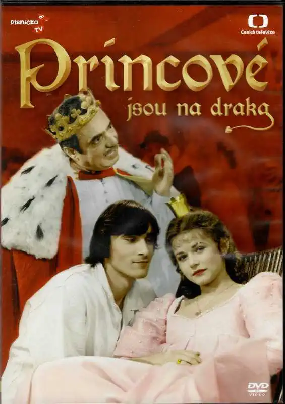 Princové jsou na draka - DVD plast /bazarové zboží/