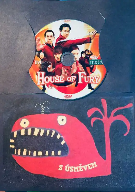 House of Fury / Zuřivost v krvi - DVD /dárkový obal/