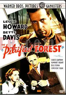 Petrified Forest / Zkamenělý les ( originální znění, titulky CZ ) plast DVD