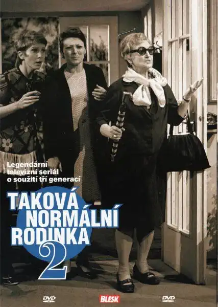 Taková normální rodinka 2 - DVD /plast/