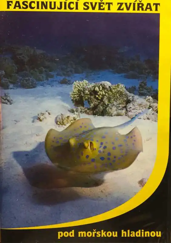 Fascinující svět zvířat - pod mořskou hladinou - DVD /plast/
