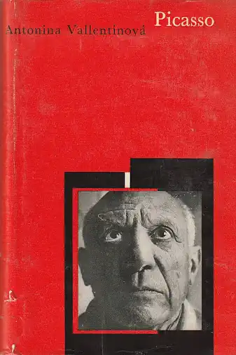 Picasso - Antonina Vallentinová /bazarové zboží/