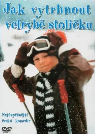 Jak vytrhnout velrybě stoličku - DVD /plast/