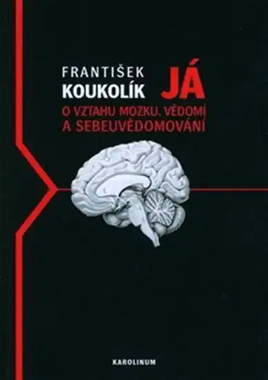Já - o vztahu mozku, vědomí a sebevědomí - František Koukolík /bazarové zboží/
