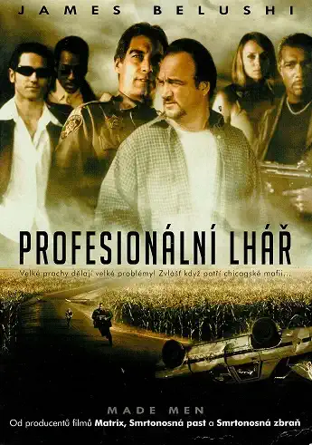 Profesionální lhář ( pošetka ) DVD