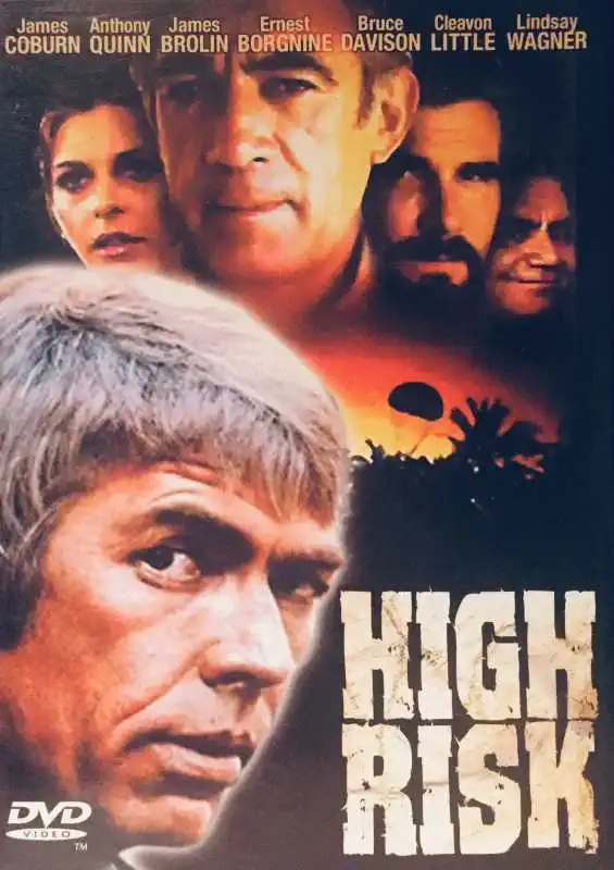 High Risk - DVD /plast/