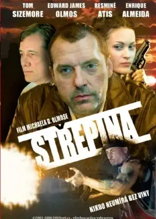 Střepina - DVD /plast/
