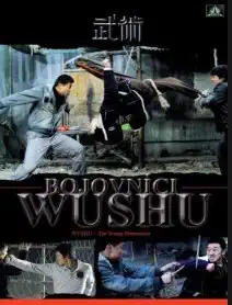 Bojovníci Wushu - DVD /plast/