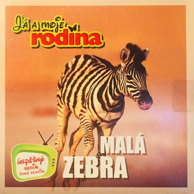 Já a moje rodina - Malá zebra - DVD /pošetka malá/