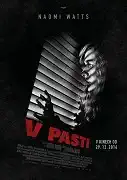 V pasti ( plast ) DVD