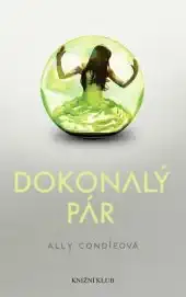 Dokonalý pár - Ally Condieová /bazarové zboží/