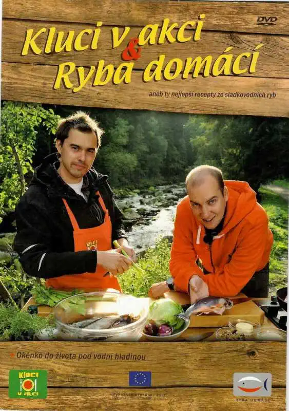 Kluci v akci - Ryba domácí - DVD pošetka