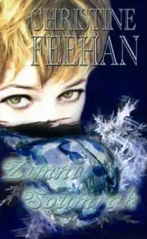 Zimní soumrak - Christine Feehan /bazarové zboží/