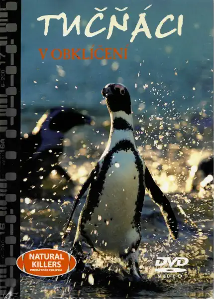 Tučňáci - V obklíčení - DVD +brožurka