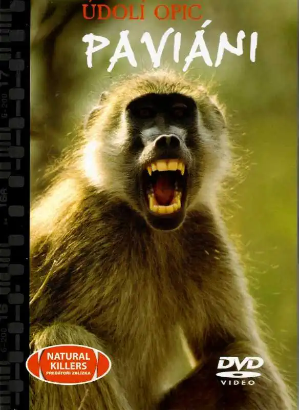 Údolí opic - Paviáni - DVD + brožura /bazarové zboží/