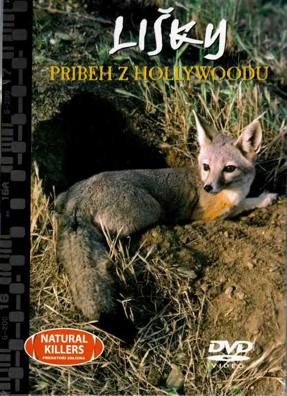 Lišky - Příběh z Hollywoodu - DVD + brožura